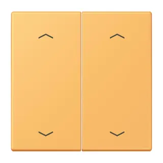 Jung Wippe, mit Pfeilsymbolen für Taster 2fach, Serie LS, ocre jaune clair LC102P254