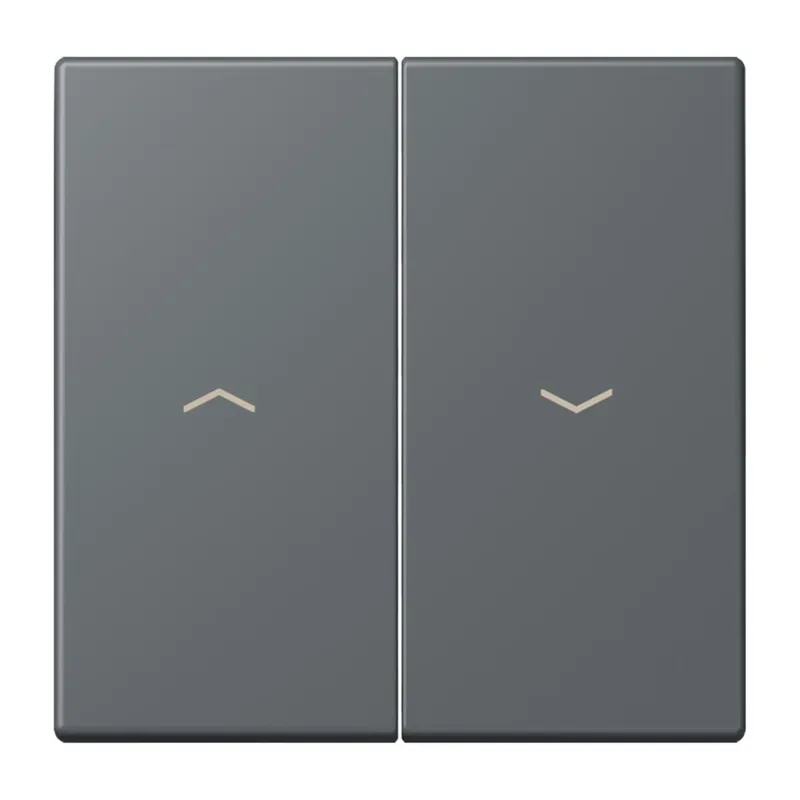 Jung Wippe 2fach, mit Pfeilsymbolen, Serie LS, gris foncé 31 LC995P202