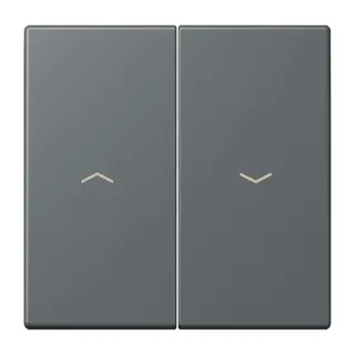 Jung Wippe 2fach, mit Pfeilsymbolen, Serie LS, gris foncé 31 LC995P202