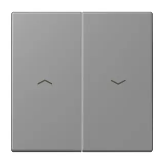 Jung Wippe 2fach, mit Pfeilsymbolen, Serie LS, gris 31 LC995P203