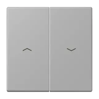 Jung Wippe 2fach, mit Pfeilsymbolen, Serie LS, gris moyen LC995P204