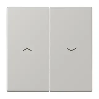 Jung Wippe 2fach, mit Pfeilsymbolen, Serie LS, gris clair 31 LC995P205