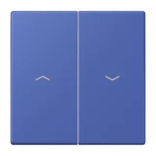 Jung Wippe 2fach, mit Pfeilsymbolen, Serie LS, bleu outremer 31 LC995P206