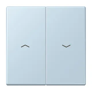 Jung Wippe 2fach, mit Pfeilsymbolen, Serie LS, outremerclair LC995P208