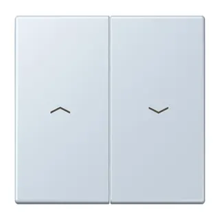 Jung Wippe 2fach, mit Pfeilsymbolen, Serie LS, outremer pale LC995P209