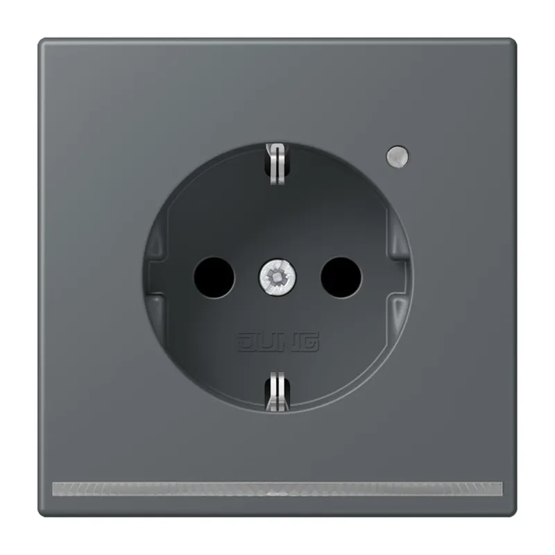 Jung SCHUKO Steckdose, 16 A 250 V ~, mit LED-Orientierungslicht, SAFETY+, Serie LS, gris foncé 31 LC1520-OLNW202