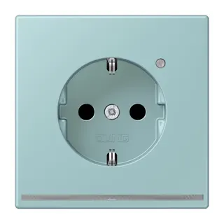 Jung SCHUKO Steckdose, 16 A 250 V ~, mit LED-Orientierungslicht, SAFETY+, Serie LS, céruléen clair LC1520-OLNW214