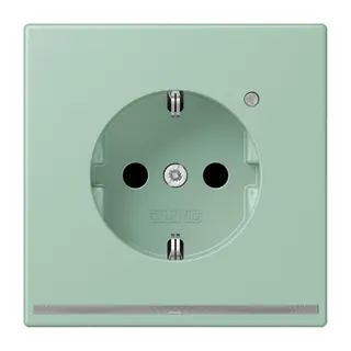 Jung SCHUKO Steckdose, 16 A 250 V ~, mit LED-Orientierungslicht, SAFETY+, Serie LS, vert anglais clair LC1520-OLNW217