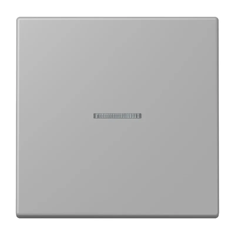 Jung Wippe 1fach mit Lichtleiter, Serie LS, gris moyen LC990KO5204