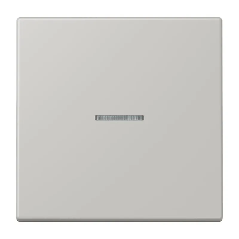 Jung Wippe 1fach mit Lichtleiter, Serie LS, gris clair 31 LC990KO5205