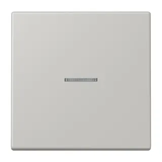 Jung HOME Taster 1fach, Serie LS, gris clair 31 BTLC17101205