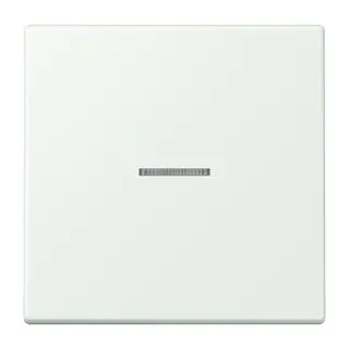Jung HOME Taster 1fach, Serie LS, outremer gris BTLC17101210