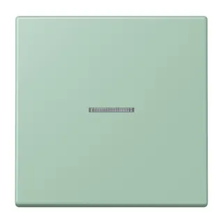 Jung HOME Taster 1fach, Serie LS, vert anglais clair BTLC17101217