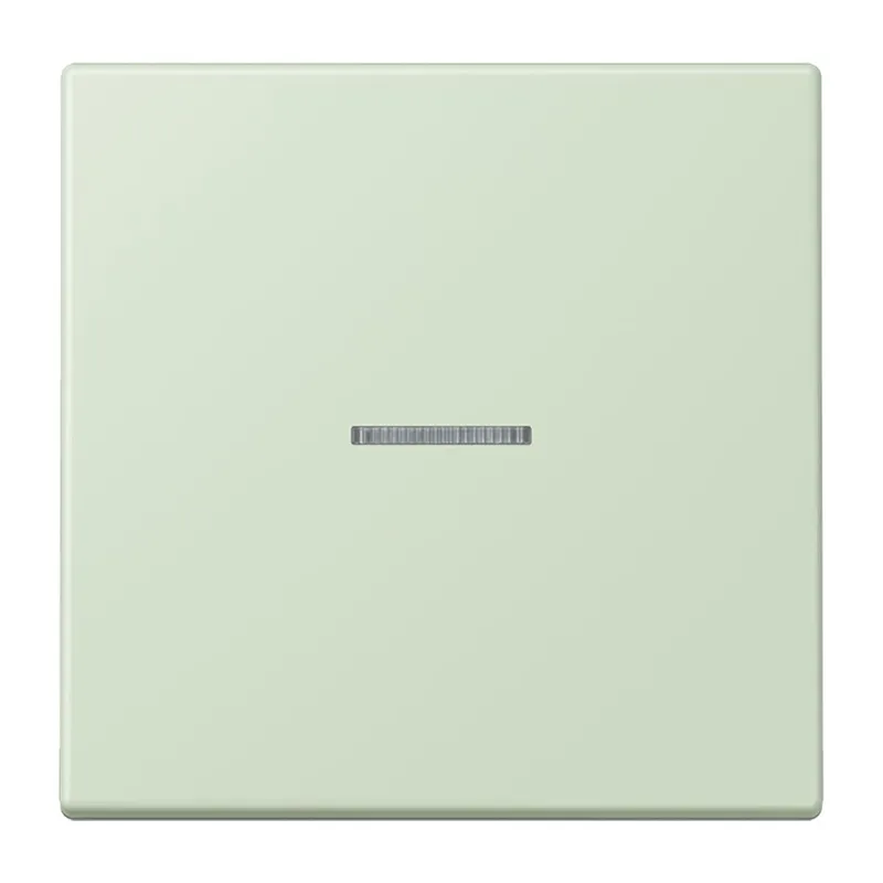 Jung HOME Taster 1fach, Serie LS, vert anglâis pale BTLC17101218