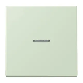 Jung HOME Taster 1fach, Serie LS, vert anglâis pale BTLC17101218
