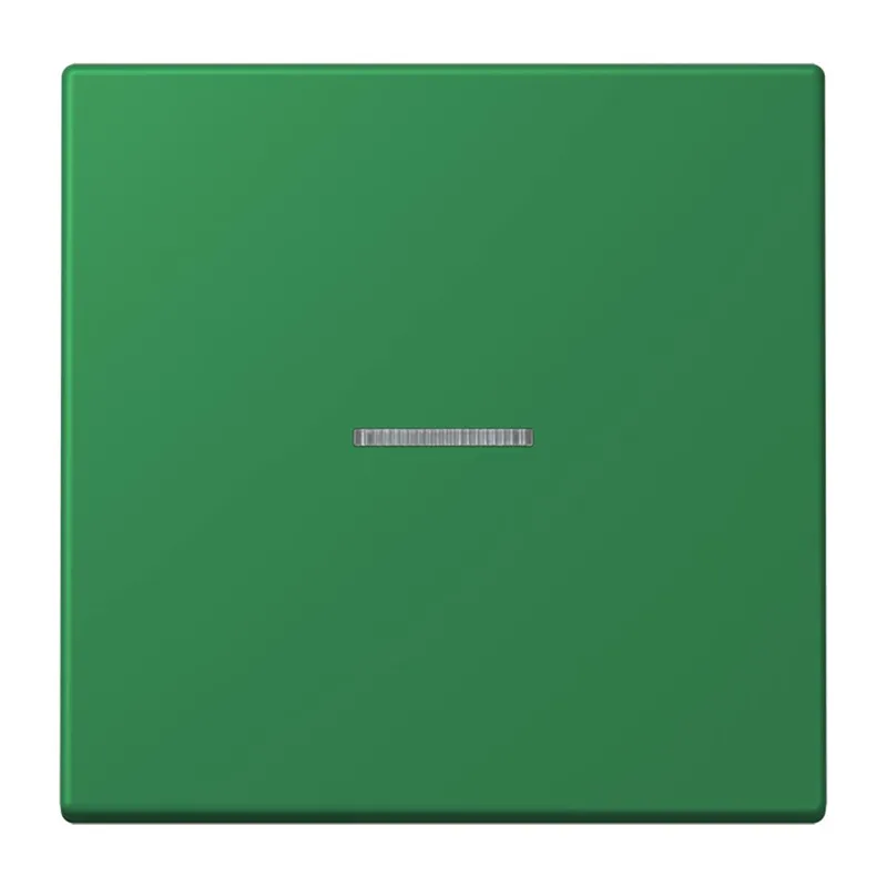 Jung HOME Taster 1fach, Serie LS, vert foncé BTLC17101219