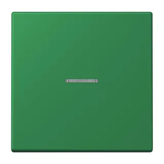 Jung HOME Taster 1fach, Serie LS, vert foncé BTLC17101219