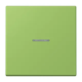 Jung HOME Taster 1fach, Serie LS, vert 31 BTLC17101220