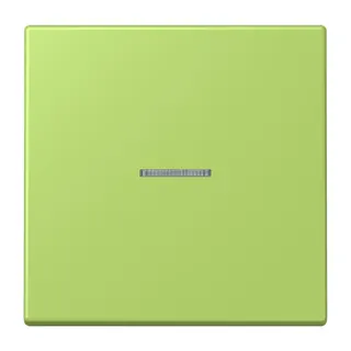 Jung HOME Taster 1fach, Serie LS, vert clair BTLC17101221