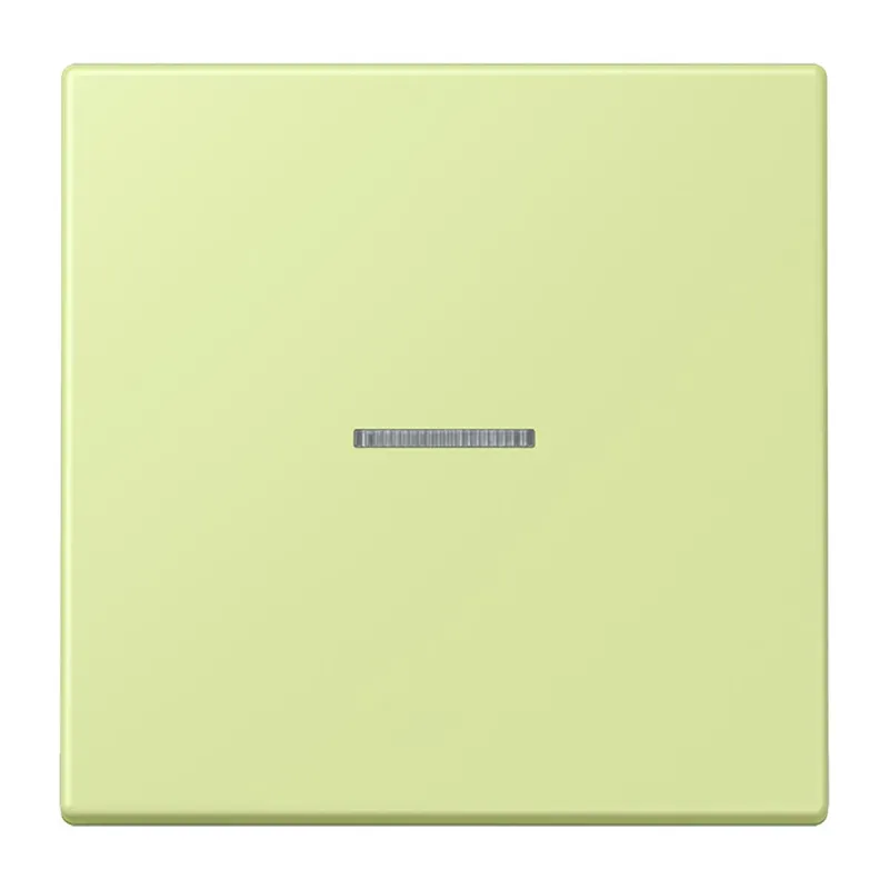 Jung Wippe 1fach mit Lichtleiter, Serie LS, vert jaune clair LC990KO5222
