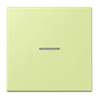 Jung HOME Taster 1fach, Serie LS, vert jaune clair BTLC17101222