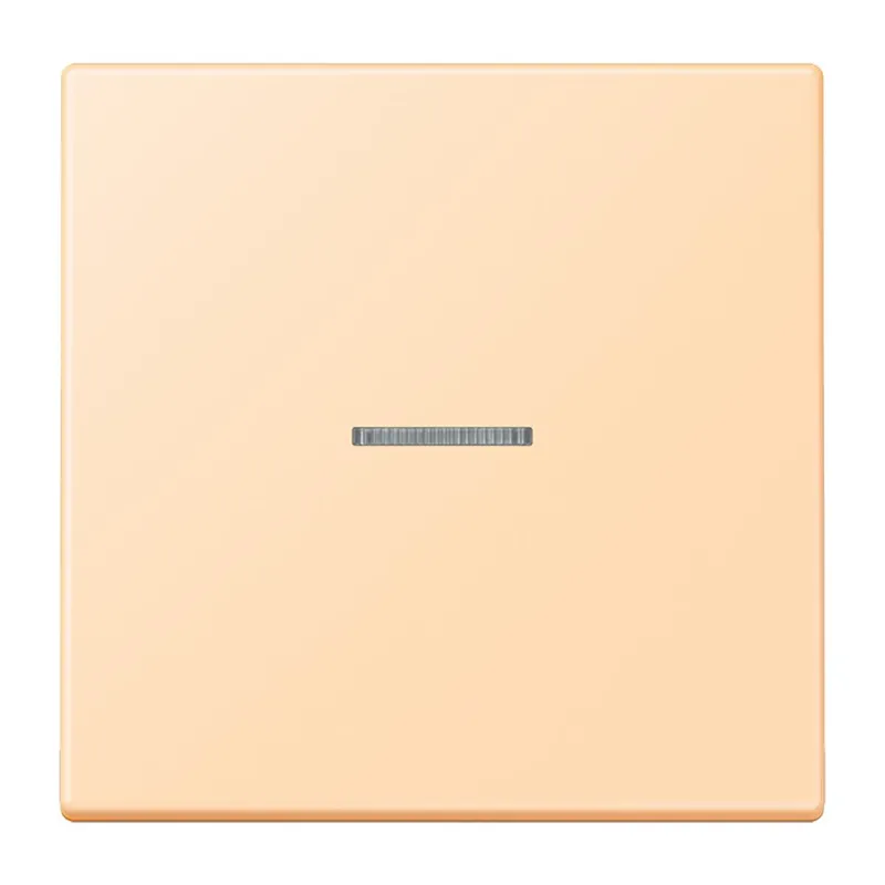 Jung Wippe 1fach mit Lichtleiter, Serie LS, ocre LC990KO5223