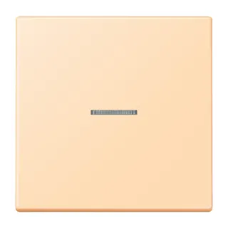 Jung HOME Taster 1fach, Serie LS, ocre BTLC17101223