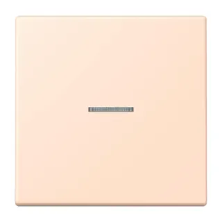 Jung HOME Taster 1fach, Serie LS, rose pâle BTLC17101228