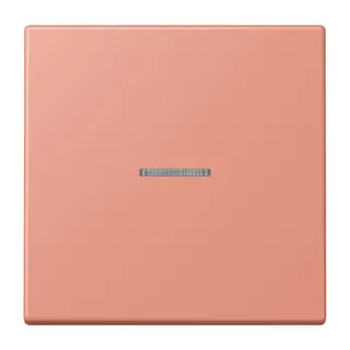 Jung HOME Taster 1fach, Serie LS, l'ocre rouge moyen BTLC17101233