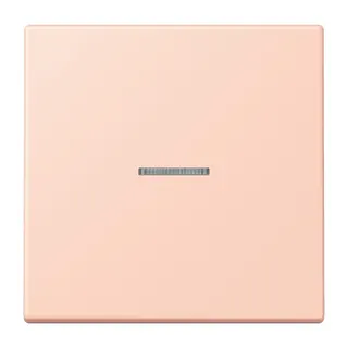 Jung HOME Taster 1fach, Serie LS, l'ocre rouge clair BTLC17101234