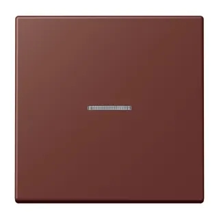 Jung HOME Taster 1fach, Serie LS, terre sienne br?lée 31 BTLC17101235