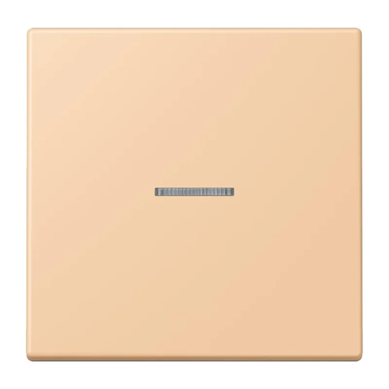 Jung Wippe 1fach mit Lichtleiter, Serie LS, terre sienne claire 31 LC990KO5237