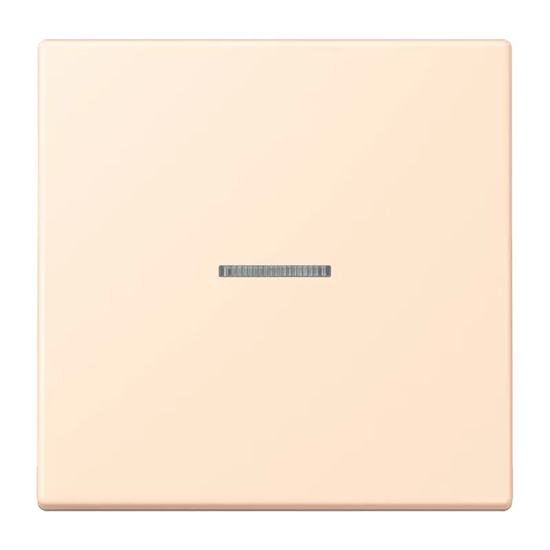 Jung HOME Taster 1fach, Serie LS, terre sienne pâle BTLC17101238