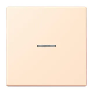 Jung HOME Taster 1fach, Serie LS, terre sienne pâle BTLC17101238