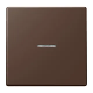 Jung HOME Taster 1fach, Serie LS, terre d'ombre br?lée 31 BTLC17101239