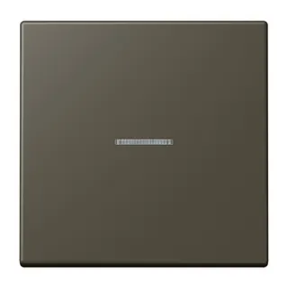 Jung HOME Taster 1fach, Serie LS, ombre naturelle 31 BTLC17101241