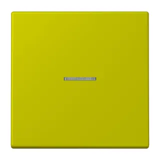 Jung HOME Taster 1fach, Serie LS, vert olive vif BTLC17101249