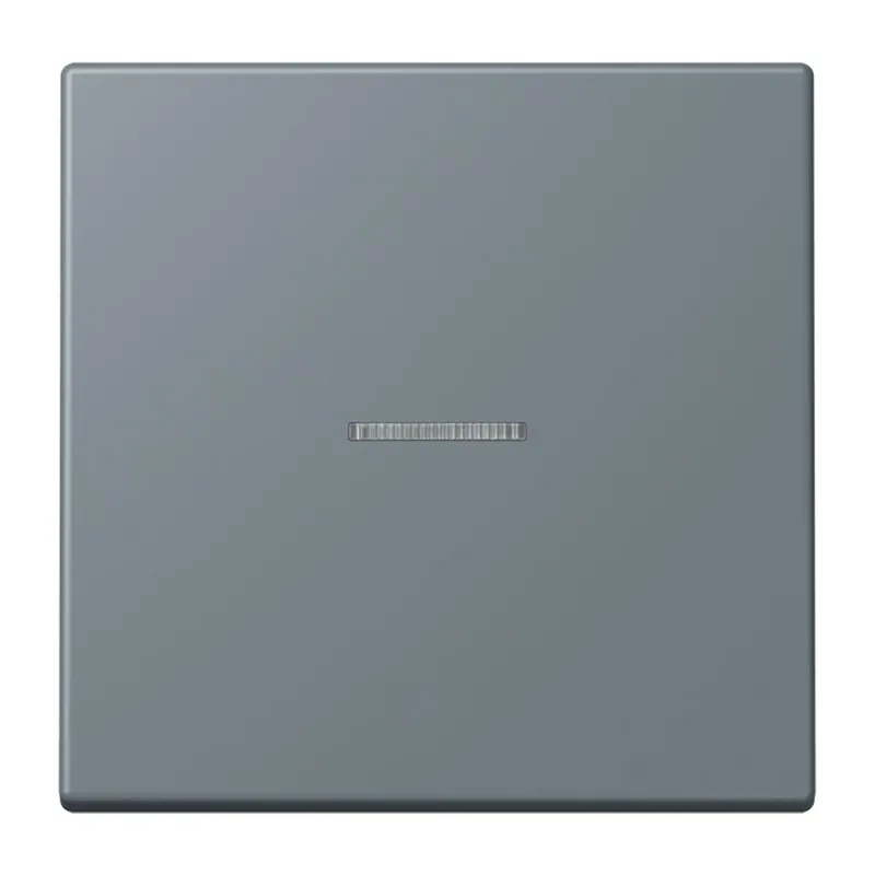 Jung HOME Taster 1fach, Serie LS, gris 59 BTLC17101251