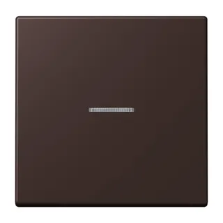 Jung HOME Taster 1fach, Serie LS, terre d?ombre br?lée 59 BTLC17101252