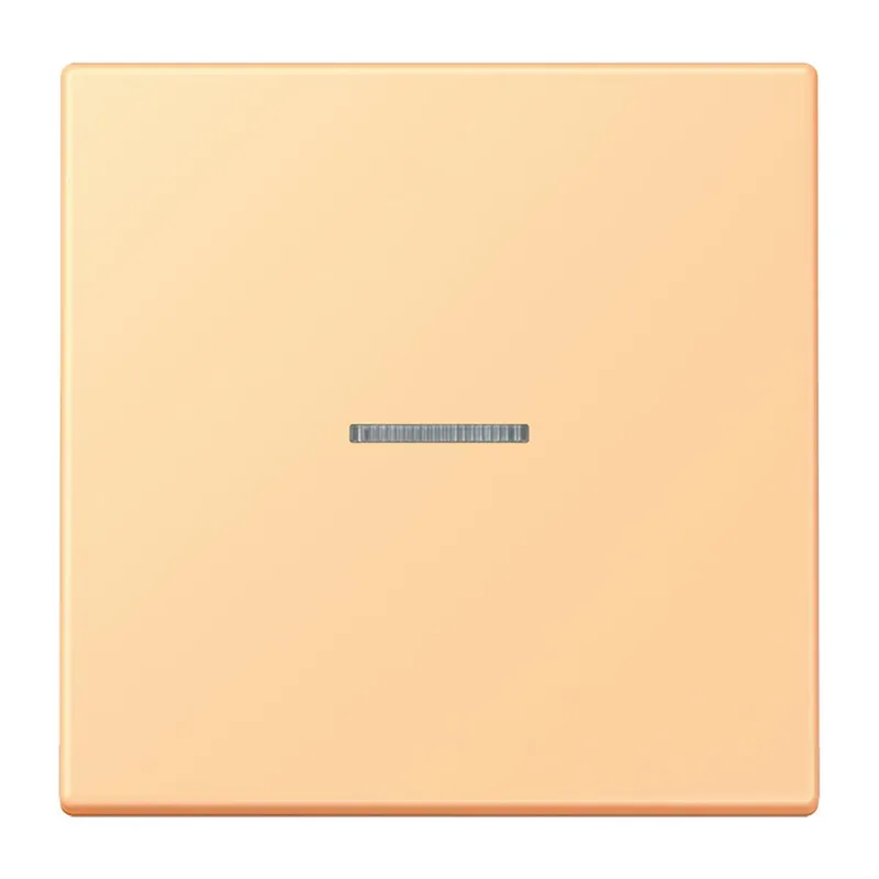 Jung HOME Taster 1fach, Serie LS, terre sienne claire 59 BTLC17101258