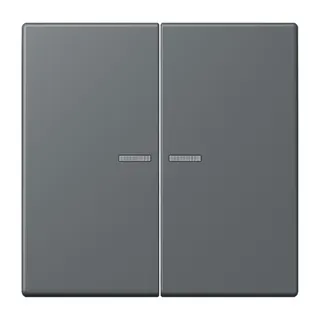 Jung HOME Taster 2fach, Serie LS, gris foncé 31 BTLC17102202