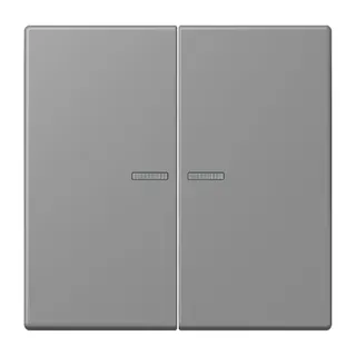 Jung HOME Taster 2fach, Serie LS, gris 31 BTLC17102203