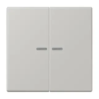 Jung HOME Taster 2fach, Serie LS, gris clair 31 BTLC17102205