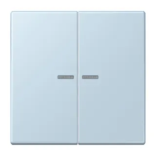 Jung HOME Taster 2fach, Serie LS, outremerclair BTLC17102208