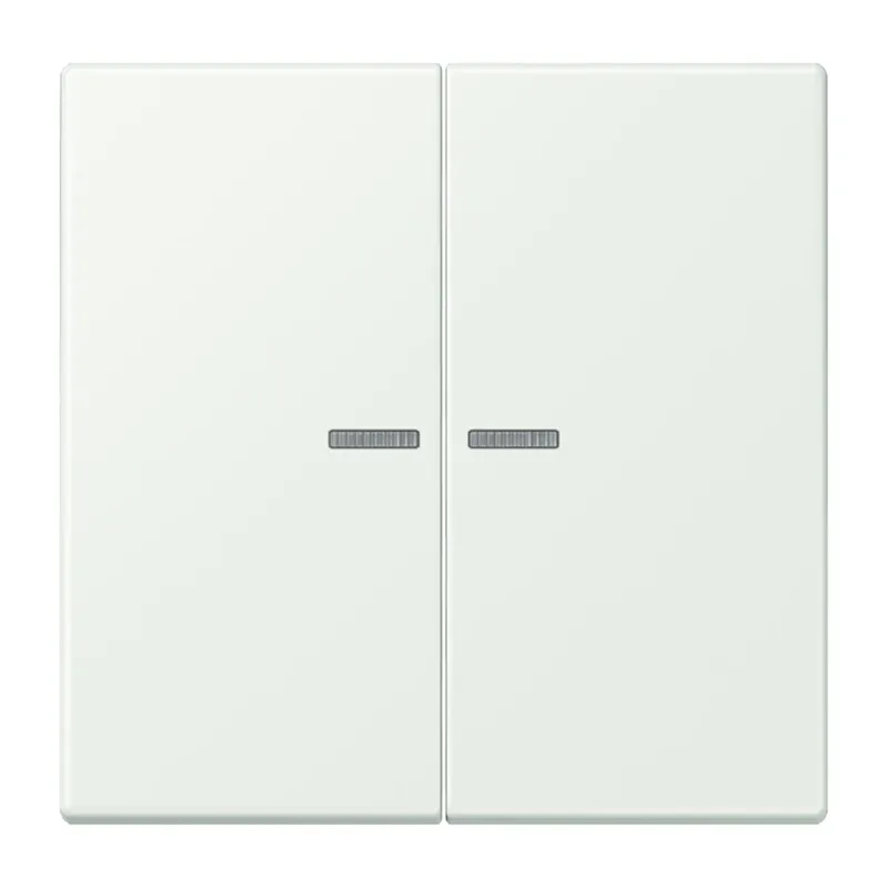 Jung Wippe 2fach mit Lichtleiter, Serie LS, outremer gris LC995KO5210