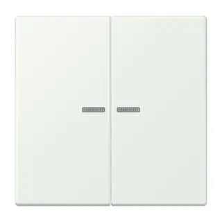 Jung HOME Taster 2fach, Serie LS, outremer gris BTLC17102210