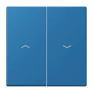 Jung Wippe 2fach, mit Pfeilsymbolen, Serie LS, bleu céruléen 31 LC995P211