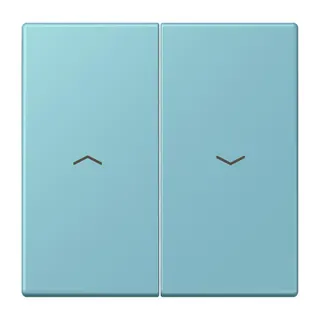 Jung Wippe 2fach, mit Pfeilsymbolen, Serie LS, céruléen moyen LC995P213