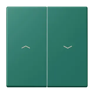 Jung Wippe 2fach, mit Pfeilsymbolen, Serie LS, vert anglais LC995P216