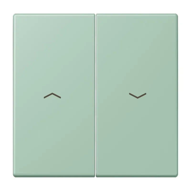 Jung Wippe 2fach, mit Pfeilsymbolen, Serie LS, vert anglais clair LC995P217